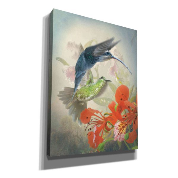 Hummingbird Cycle II  by Steve Hunziker, Canvas Wall Art on Sale