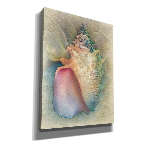 Aquatica IV  by Steve Hunziker, Canvas Wall Art For Cheap