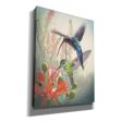 Hummingbird Cycle I  by Steve Hunziker, Canvas Wall Art Online Sale