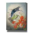 Hummingbird Cycle II  by Steve Hunziker, Canvas Wall Art on Sale