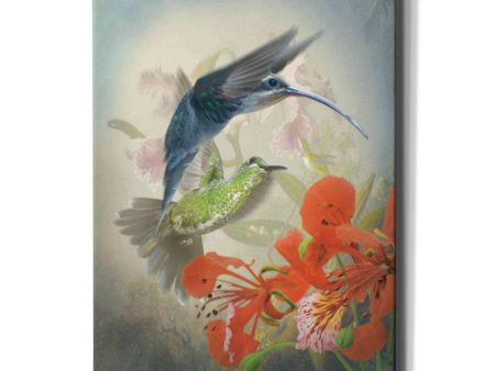 Hummingbird Cycle II  by Steve Hunziker, Canvas Wall Art on Sale