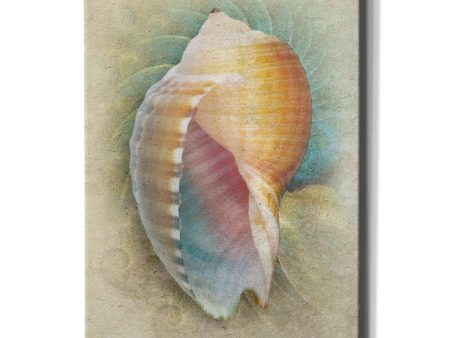 Aquatica III  by Steve Hunziker, Canvas Wall Art Sale