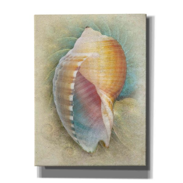 Aquatica III  by Steve Hunziker, Canvas Wall Art Sale