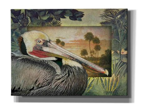 Pelican Paradise I  by Steve Hunziker, Canvas Wall Art on Sale