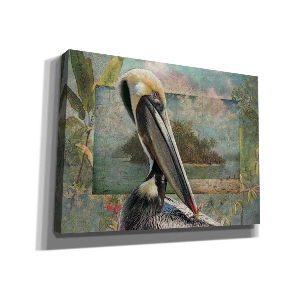 Pelican Paradise II  by Steve Hunziker, Canvas Wall Art For Discount