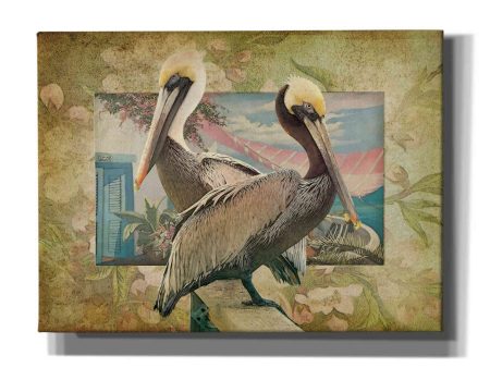 Pelican Paradise IV  by Steve Hunziker, Canvas Wall Art For Cheap