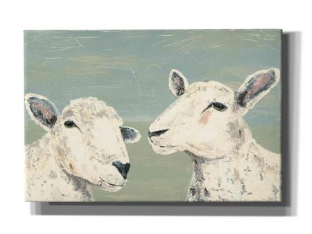 Bashful Sheep I  by Jade Reynolds, Canvas Wall Art For Sale