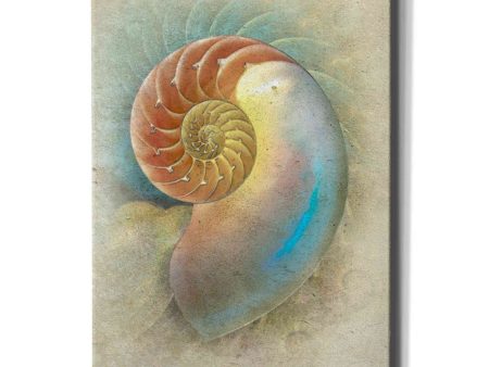 Aquatica II  by Steve Hunziker, Canvas Wall Art Online Sale