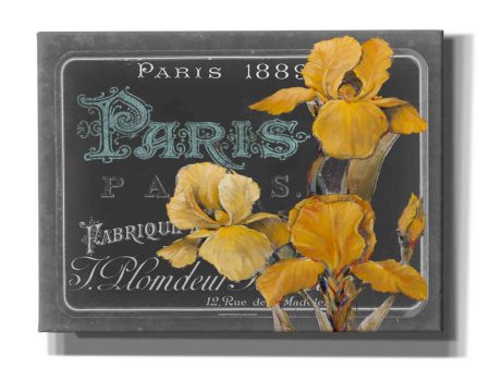 Chalkboard Paris Collection A  by Studio W, Canvas Wall Art For Discount