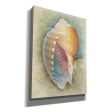 Aquatica III  by Steve Hunziker, Canvas Wall Art Sale