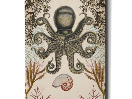 Antiquarian Menagerie-Octopus  by Naomi McCavitt, Canvas Wall Art For Discount