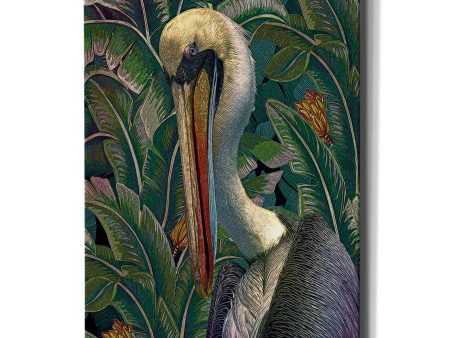 Primal Pelicana  by Steve Hunziker, Canvas Wall Art Sale