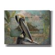 Pelican Paradise II  by Steve Hunziker, Canvas Wall Art For Discount