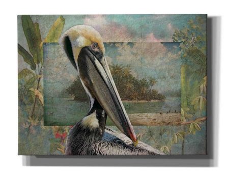 Pelican Paradise II  by Steve Hunziker, Canvas Wall Art For Discount