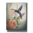 Hummingbird Cycle I  by Steve Hunziker, Canvas Wall Art Online Sale