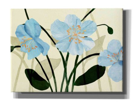 Blue Poppies I  by Annie Warren, Canvas Wall Art on Sale