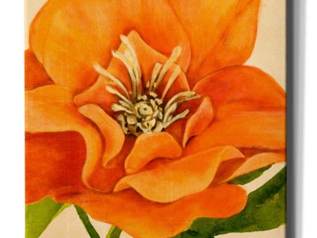 Copper Petals II  by Annie Warren, Canvas Wall Art Online