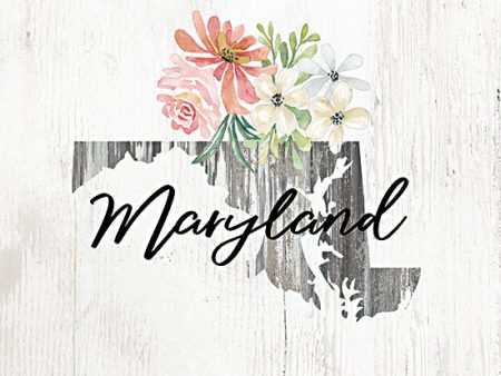 CIN2078 - Floral Maryland State Art - 12x12 For Sale