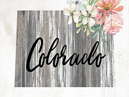 CIN2228 - Floral Colorado State Art - 12x12 on Sale