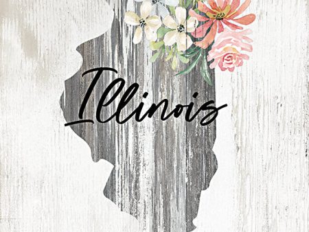 CIN2074 - Floral Illinois State Art - 12x12 Fashion