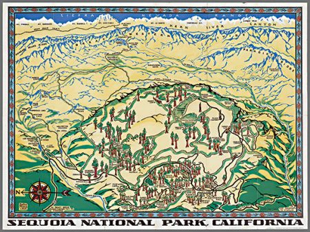 SDS1135 - Sequoia National Park Map - 16x12 Online Sale