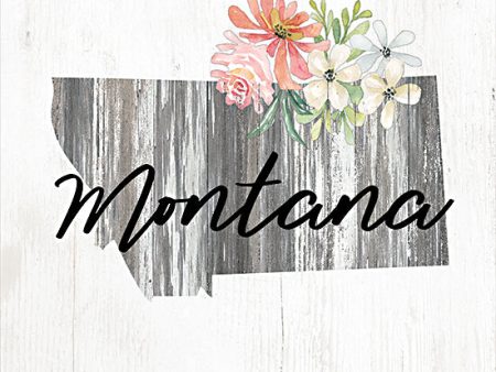 CIN2239 - Floral Montana State Art - 12x12 Cheap