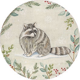 DS2176RP - Woodland Animals Raccoon - 18x18 Online