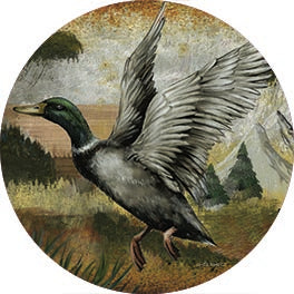 ED480RP - Mallard Duck - 18x18 Discount