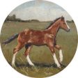 BAKE304RP - Little Filly - 18x18 Online