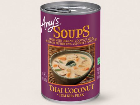 Amy s Org Thai Coconut Soup 14.1oz Online Hot Sale